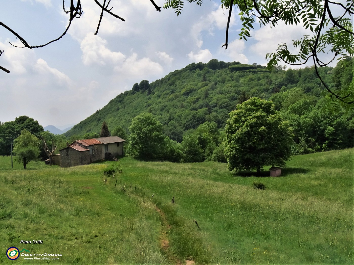 68 Sul sent. 505 la santella della Madonna all'ombra del grande ippocastano.JPG